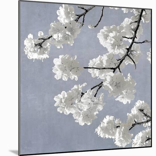 Blossoms on Blue II-Kate Bennett-Mounted Art Print