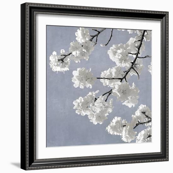 Blossoms on Blue II-Kate Bennett-Framed Art Print