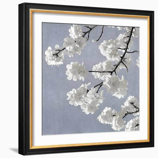 Blossoms on Blue II-Kate Bennett-Framed Art Print