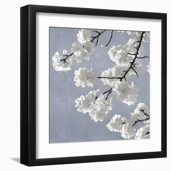 Blossoms on Blue II-Kate Bennett-Framed Art Print