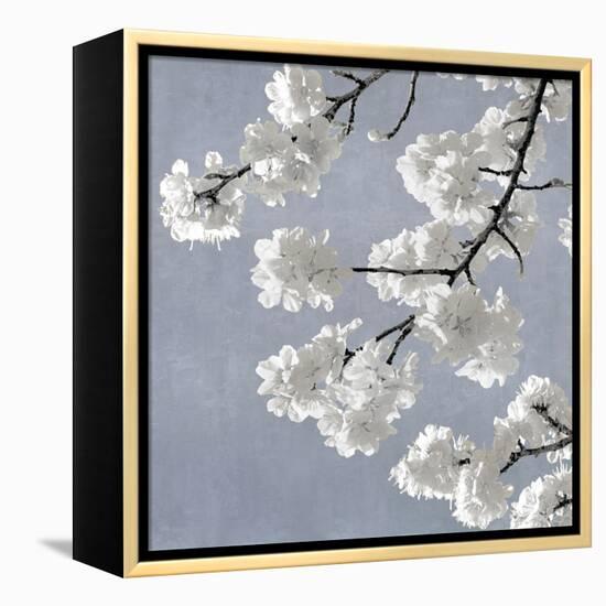 Blossoms on Blue II-Kate Bennett-Framed Stretched Canvas