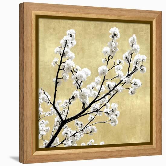 Blossoms on Gold II-Kate Bennett-Framed Stretched Canvas