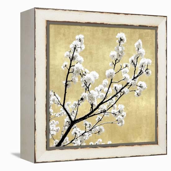 Blossoms on Gold II-Kate Bennett-Framed Stretched Canvas