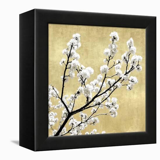 Blossoms on Gold II-Kate Bennett-Framed Stretched Canvas