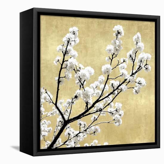 Blossoms on Gold II-Kate Bennett-Framed Stretched Canvas