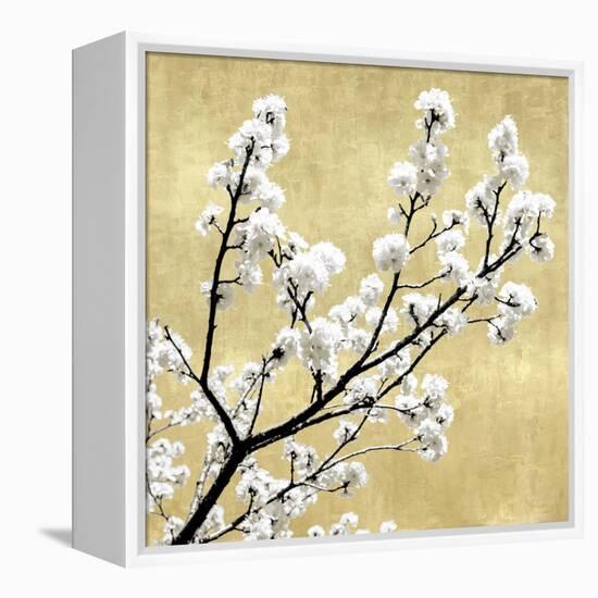 Blossoms on Gold II-Kate Bennett-Framed Stretched Canvas