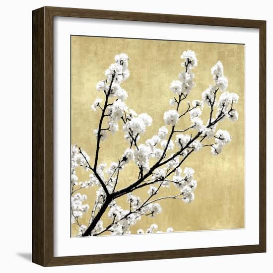 Blossoms on Gold II-Kate Bennett-Framed Art Print