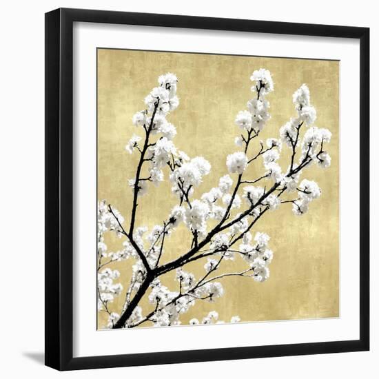 Blossoms on Gold II-Kate Bennett-Framed Art Print