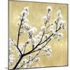 Blossoms on Gold II-Kate Bennett-Mounted Art Print