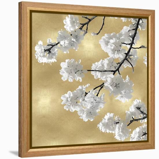 Blossoms on Gold IV-Kate Bennett-Framed Stretched Canvas