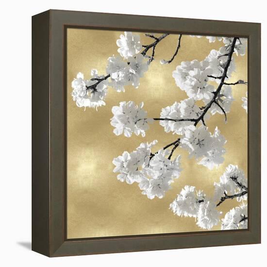 Blossoms on Gold IV-Kate Bennett-Framed Stretched Canvas