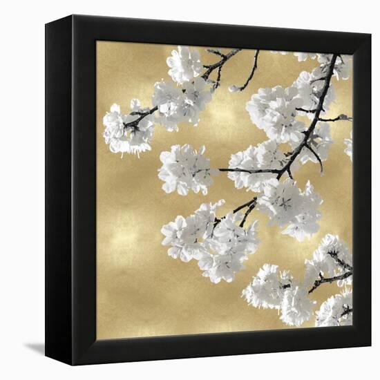 Blossoms on Gold IV-Kate Bennett-Framed Stretched Canvas