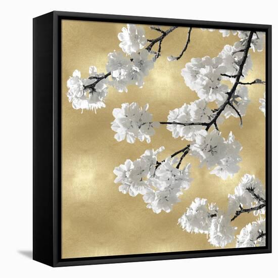 Blossoms on Gold IV-Kate Bennett-Framed Stretched Canvas