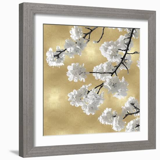 Blossoms on Gold IV-Kate Bennett-Framed Art Print