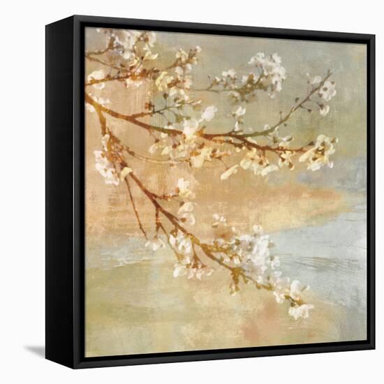 Blossoms OnThe Pond I-John Seba-Framed Stretched Canvas