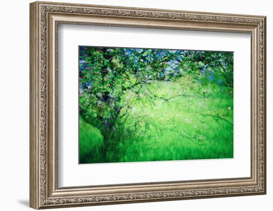 Blossoms-Ursula Abresch-Framed Photographic Print