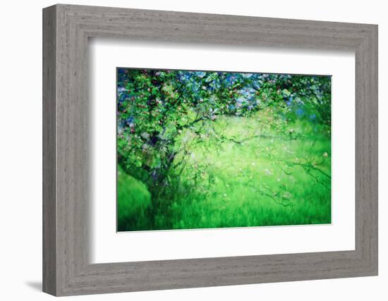 Blossoms-Ursula Abresch-Framed Photographic Print