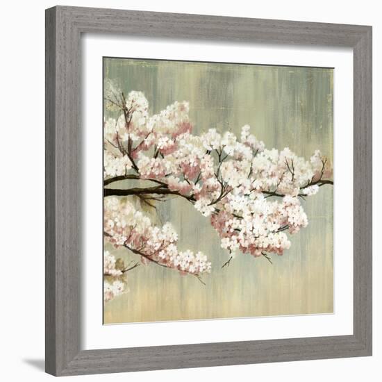 Blossoms-Andrew Michaels-Framed Art Print