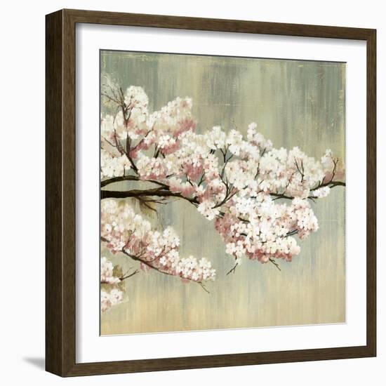 Blossoms-Andrew Michaels-Framed Art Print