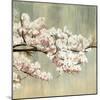 Blossoms-Andrew Michaels-Mounted Art Print