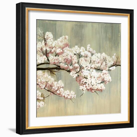 Blossoms-Andrew Michaels-Framed Art Print