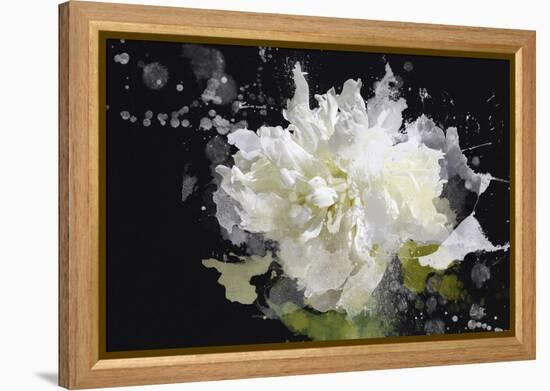 Blow Away on the Wind I-Irena Orlov-Framed Stretched Canvas