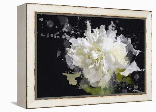 Blow Away on the Wind I-Irena Orlov-Framed Stretched Canvas