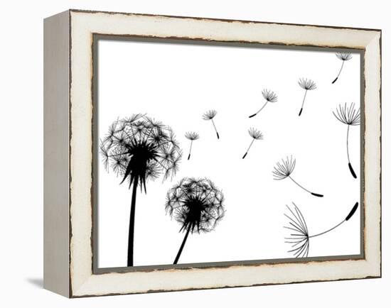 Blow Dandelions On White Background-Sergey Kolesov-Framed Stretched Canvas