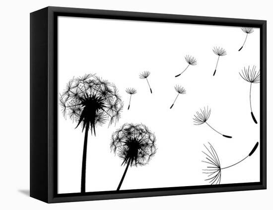 Blow Dandelions On White Background-Sergey Kolesov-Framed Stretched Canvas