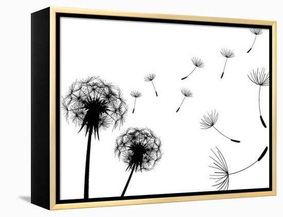 Blow Dandelions On White Background-Sergey Kolesov-Framed Stretched Canvas