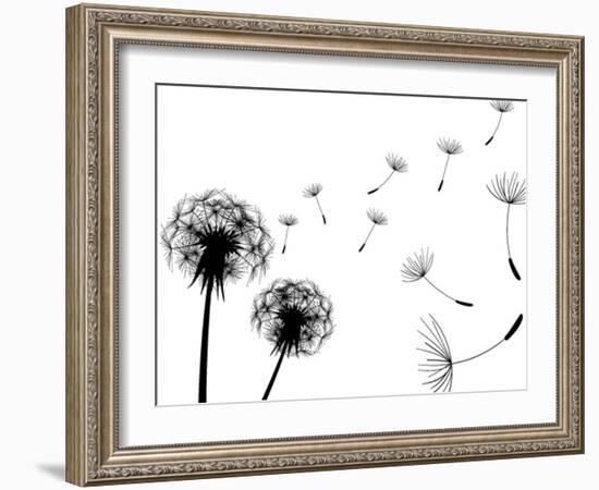 Blow Dandelions On White Background-Sergey Kolesov-Framed Premium Giclee Print