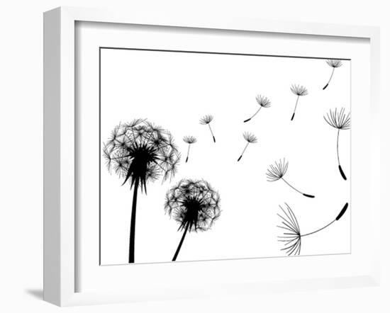 Blow Dandelions On White Background-Sergey Kolesov-Framed Premium Giclee Print