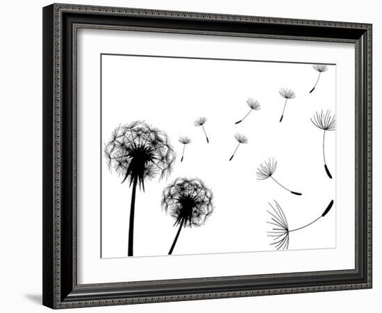 Blow Dandelions On White Background-Sergey Kolesov-Framed Premium Giclee Print