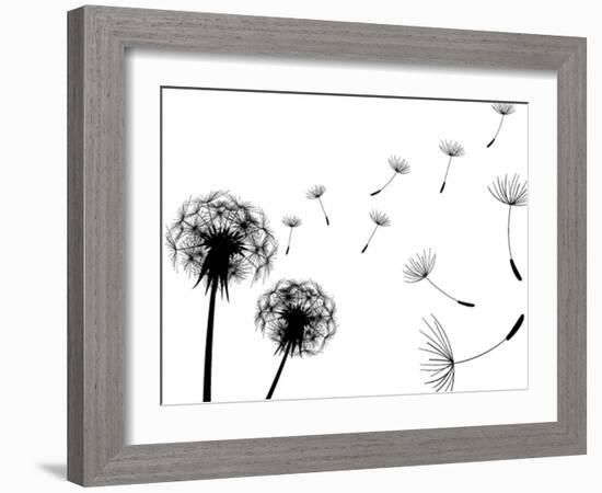 Blow Dandelions On White Background-Sergey Kolesov-Framed Art Print