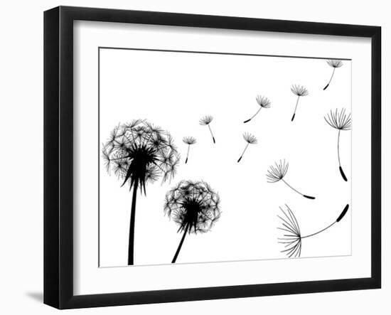 Blow Dandelions On White Background-Sergey Kolesov-Framed Art Print