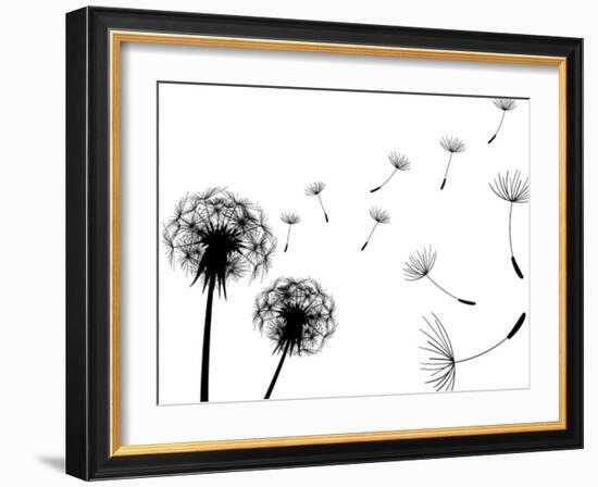 Blow Dandelions On White Background-Sergey Kolesov-Framed Art Print