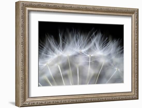 Blow It-null-Framed Art Print