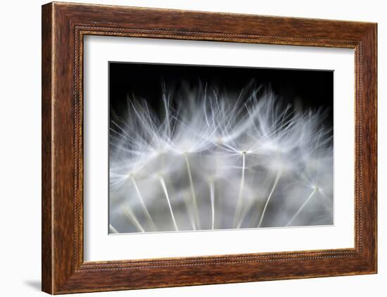 Blow It-null-Framed Art Print