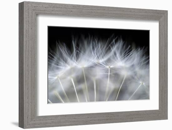 Blow It-null-Framed Art Print