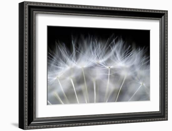 Blow It-null-Framed Art Print