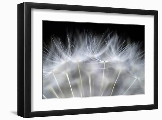 Blow It-null-Framed Art Print