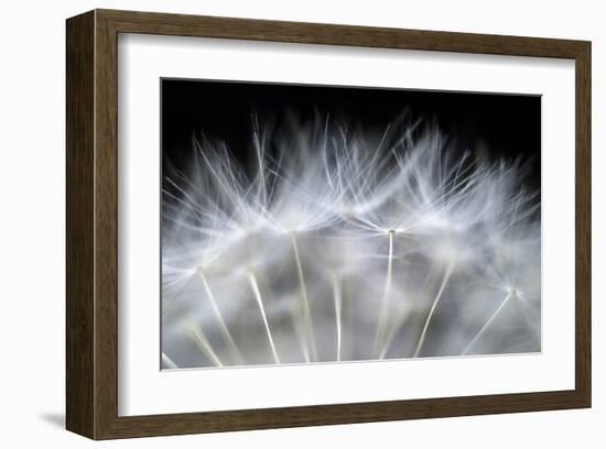 Blow It-null-Framed Art Print