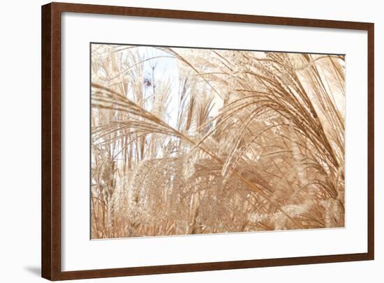 Blowing Grass I-Dana Styber-Framed Photographic Print