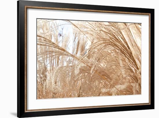 Blowing Grass I-Dana Styber-Framed Photographic Print