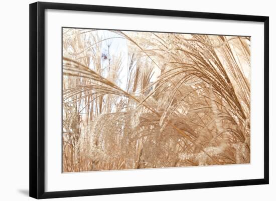 Blowing Grass I-Dana Styber-Framed Photographic Print