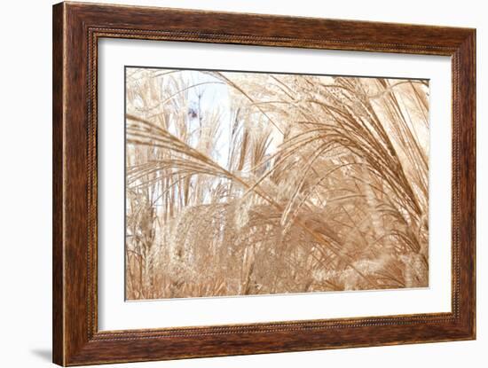 Blowing Grass I-Dana Styber-Framed Photographic Print