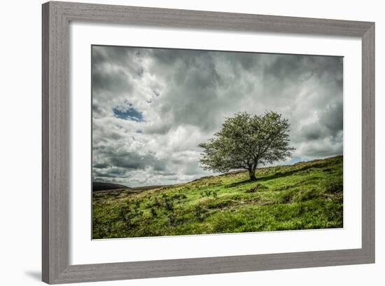 Blowing Over-Mark Gemmell-Framed Photographic Print