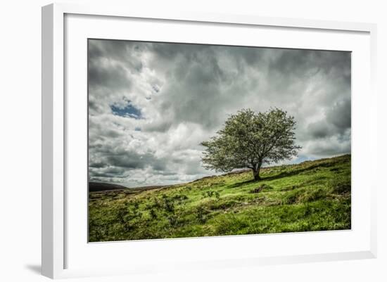 Blowing Over-Mark Gemmell-Framed Photographic Print