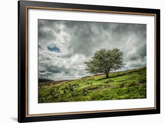 Blowing Over-Mark Gemmell-Framed Photographic Print