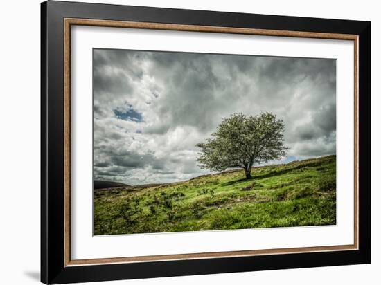 Blowing Over-Mark Gemmell-Framed Photographic Print